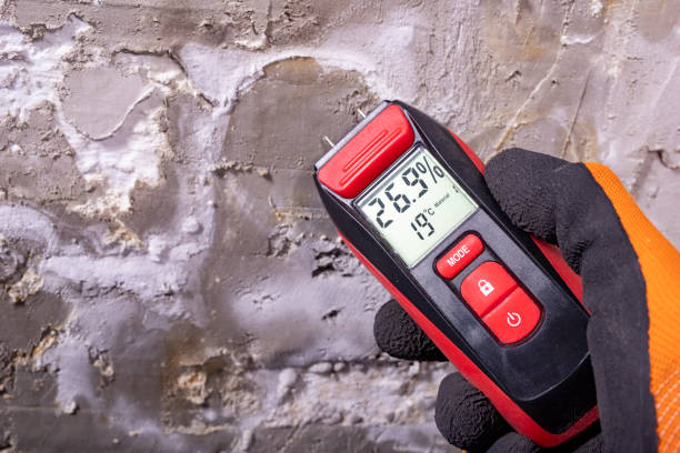 Best Fast Mold Removal  in Allison, IA